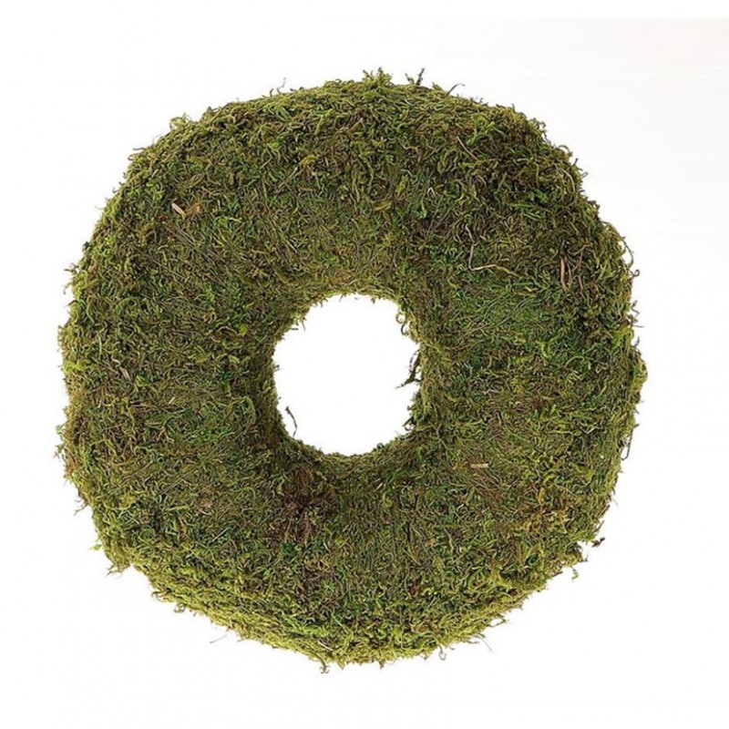 862300015 | CORONA ASIA MOSS D28cm - green