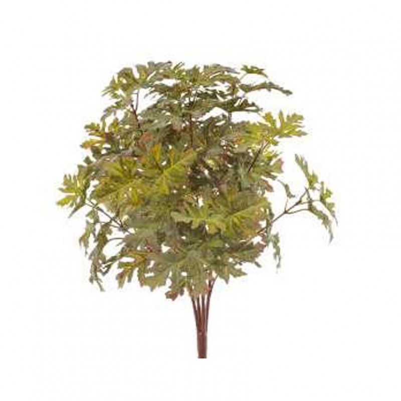 Pelargonium bush x56 h50 bu - red *
