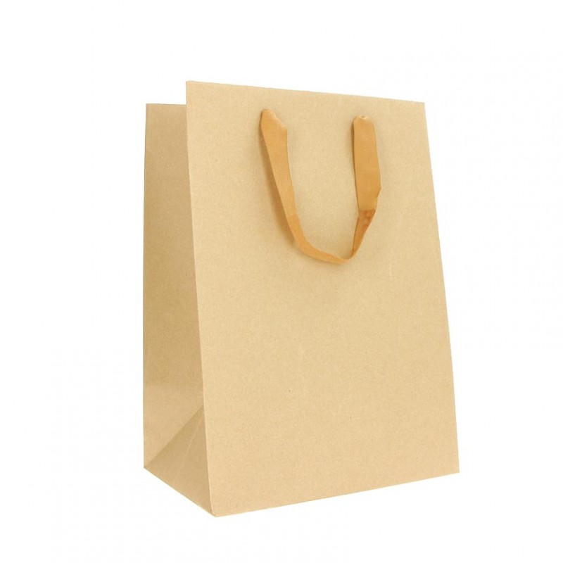 310003903AB10 | BUSTA LARGE 28X20X40+5 PZ10avana 086496
