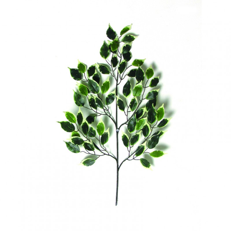 Foglia ficus mini x65 h63cm fo *- variet