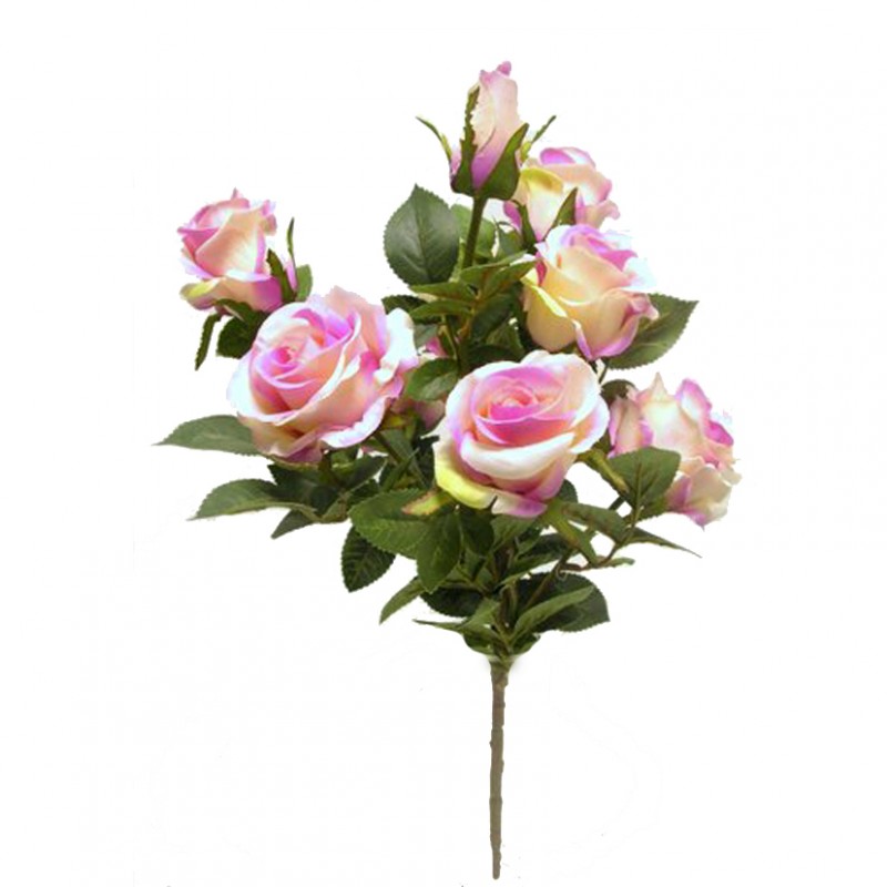 Rosa bush x9 h45 cm ro -crema/rosa *