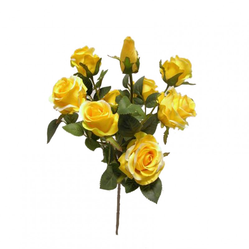 Rosa bush x9 h45 cm ro -giallo *