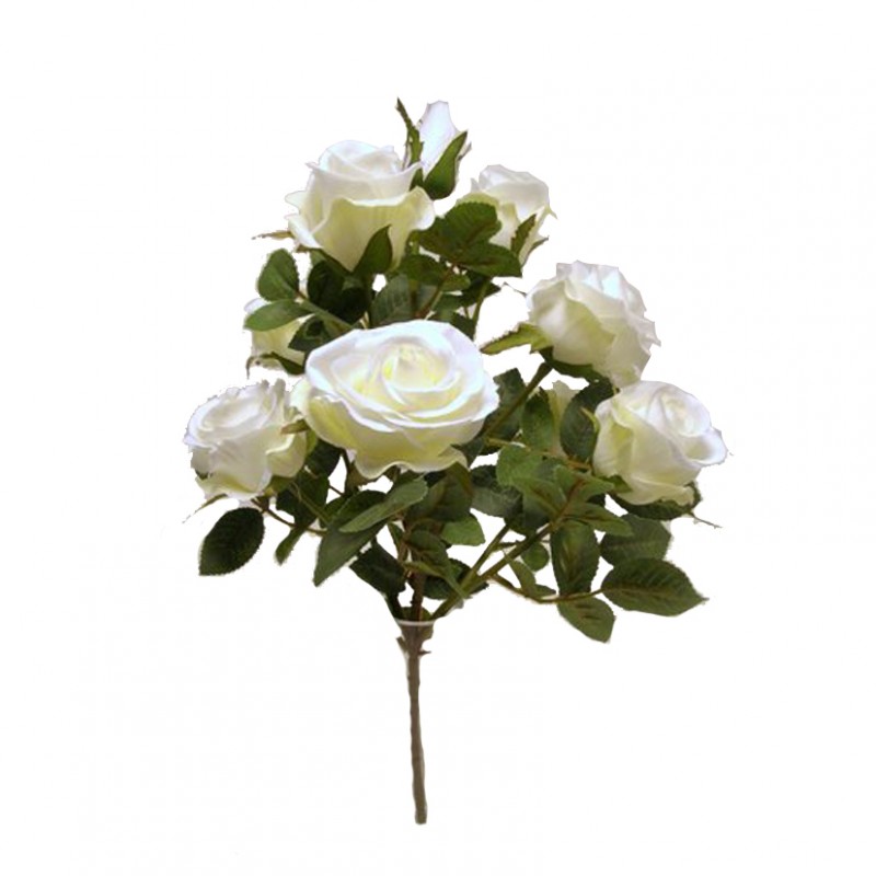 Rosa bush x9 h45 cm ro -bianco *