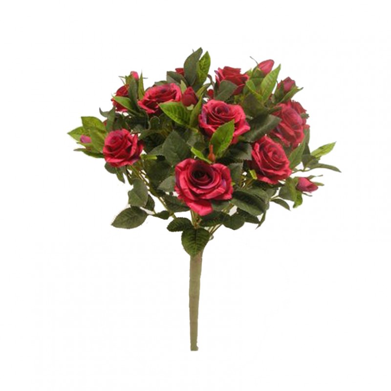 Rosa bush x18 h49 cm ro -rosso *