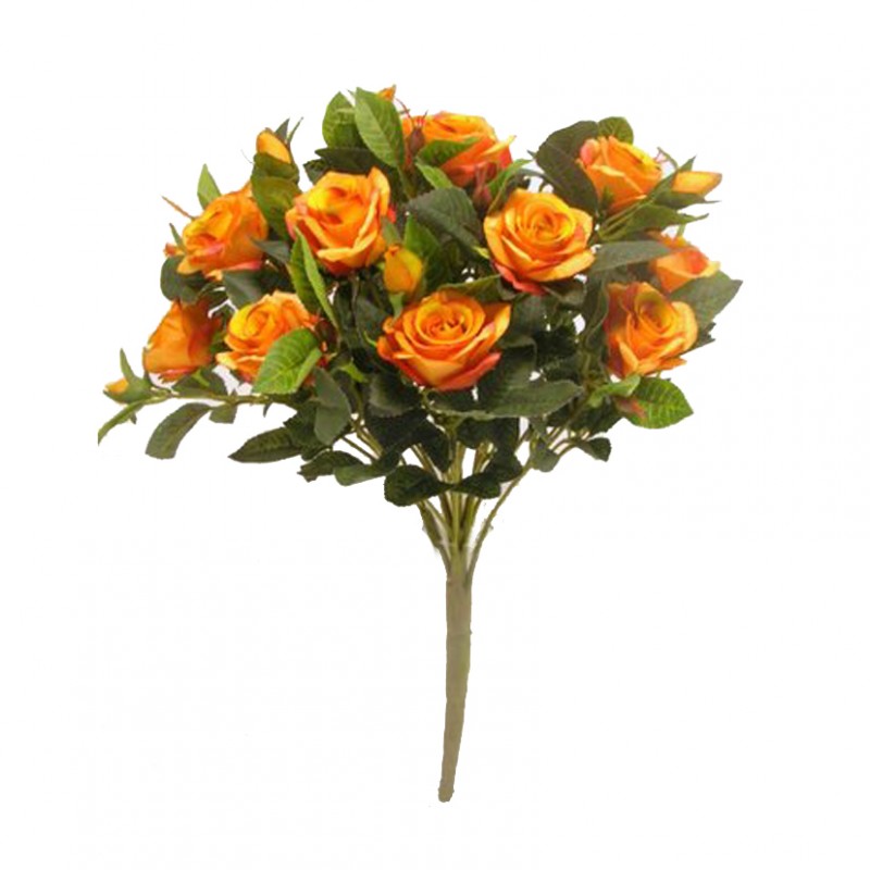 Rosa bush x18 h49 cm -arancio *
