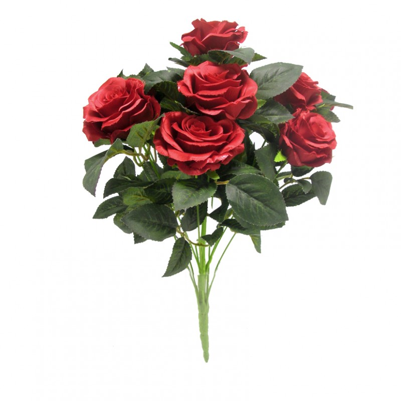 Rosa bush x12 h45cm ro -rosso *