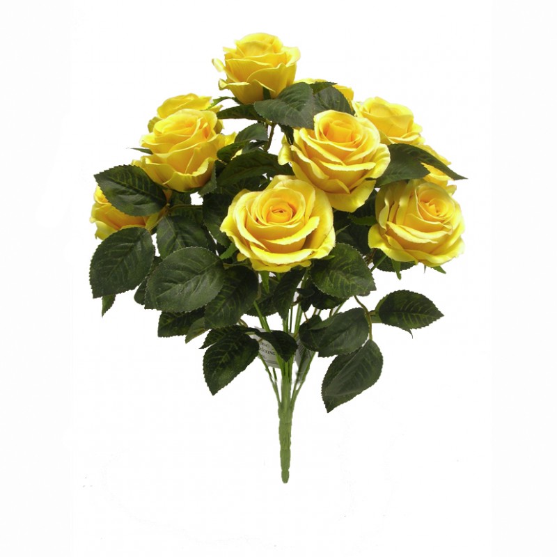 Rosa bush x12 h45cm ro -giallo *