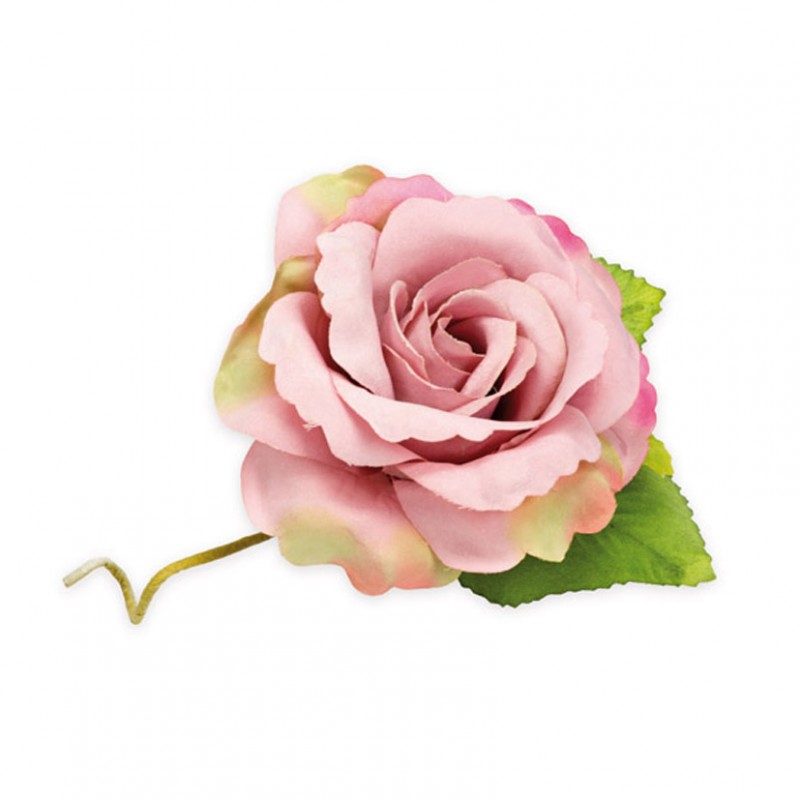 Rosa grande d6 cm 2 foglie 6pz -rosa