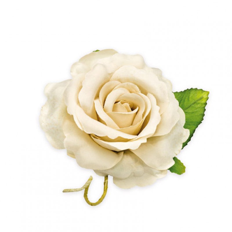 Rosa grande d6 cm 2 foglie 6pz -beige
