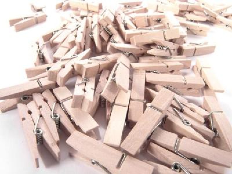 MOLLETTE LEGNO 35MM PZ 100, 8007329000614, articoli tecnici varie  fioristi