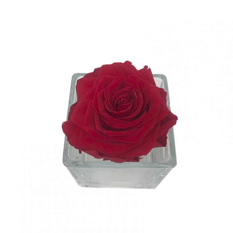 Rosa stabilizzata d7,5cm-box 4pz-red