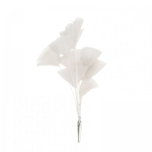 PLUMA DECORO 18/15 cm 2pz - naturale