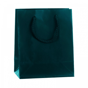 BUSTE CARTA F/P 22X29X10 PZ12-verde bosc