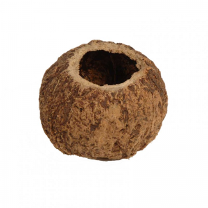 COCONUT OURICO D10 cm PZ10 - nat. brown