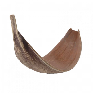 FOGLIA COCCO 60cm - natural