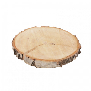 SEZIONE TRONCO BETULLA D28/32 cm