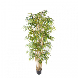 PIANTA BAMBOO H205CM PN *