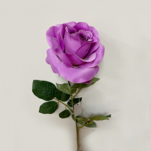 ROSA SINGOLA H70 CM RO -viola *