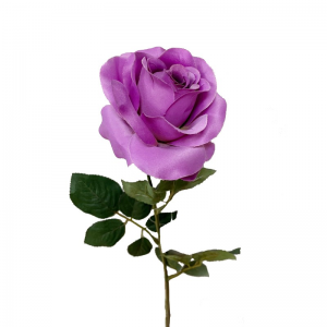 ROSA SINGOLA H70 CM RO -viola *
