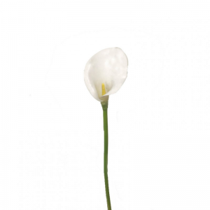 CALLA LILY H50 cm CA - white*