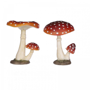 FUNGO 2 mod. 8,5X8XH11 cm