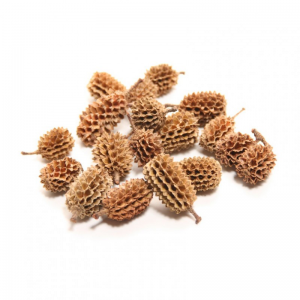 CASUARINA BACCELLO 750 GR. - natural