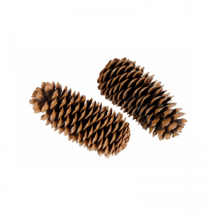 PIGNA CM 25-45