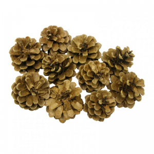 PIGNA AUSTRIACA KG 1 - natural