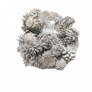 PIGNA AUSTRIACA KG 1 - frosted white