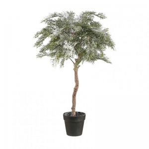 CIPRESSO C/NEVE H60 cm
