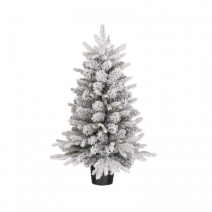 ALBERO Grimshaw C/VASO 120tips D61 H90