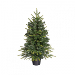 ALBERO Grimshaw C/VASO 120tips D61 H90