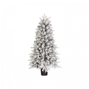 ALBERO Grimshaw C/VASO 206tips D60 H120
