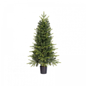 ALBERO Grimshaw C/VASO 206tips D60 H120