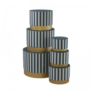 SCATOLE CARTONE s/6 - righe blu