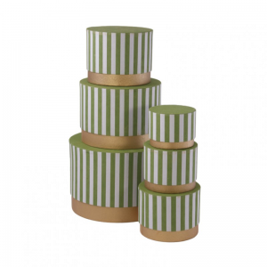 SCATOLE CARTONE s/6 - righe verdi