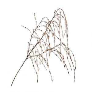 ERBA SPRAY H119 SI - gold