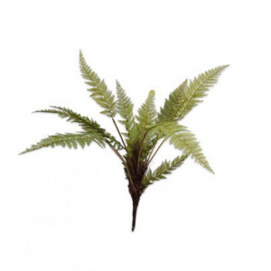 FELCE BUSH H68 CM SI