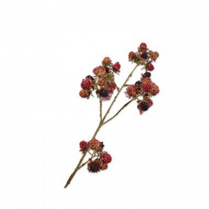 RAMO MORE H78cm SI - burgundy