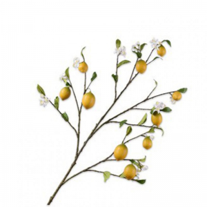 LIMONE H124 cm SI