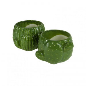 VASO CACTUS CER. 2 ass. 15x13X10cm -verd
