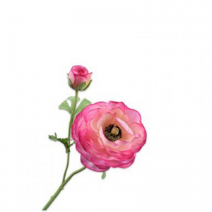 RANUNCOLO ramo H63cm SI - pink
