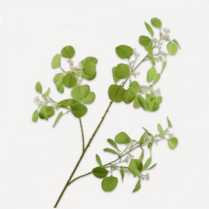 EUCALYPTUS ramo H112cm SI - green