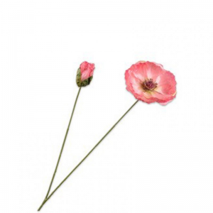 PAPAVERO H82cm SI - pink