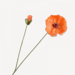 PAPAVERO H82cm SI - orange
