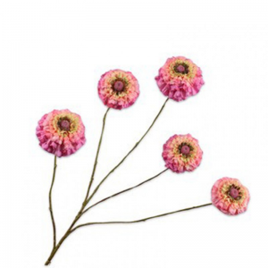 ZINNIA H91cm SI - lavender/pink