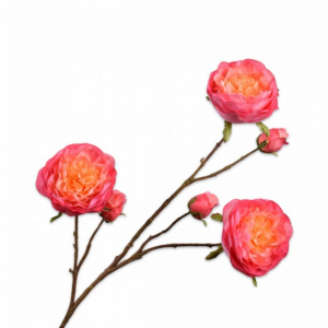 ROSA SPRAY H101cm SI - orange/pink