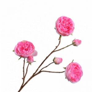ROSA SPRAY H101cm SI - pink