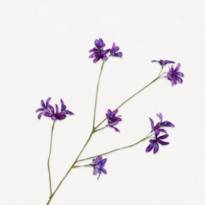 GIACINTO SPRAY H79cm SI - purple