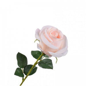 ROSA RAMO H57cm SI - light pink